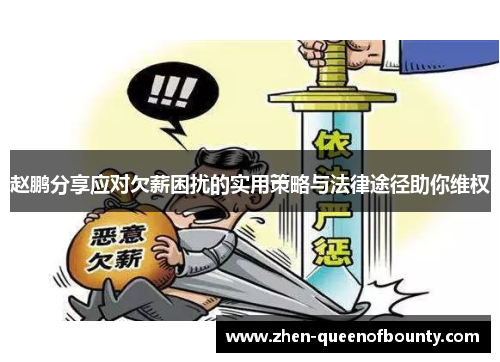 赵鹏分享应对欠薪困扰的实用策略与法律途径助你维权